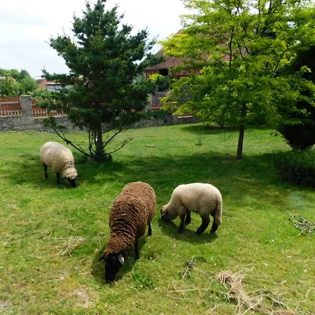 Landleben Apartament Kammerforst