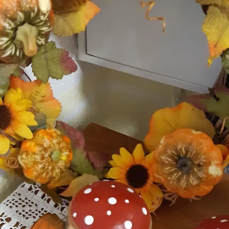 Landleben Apartament