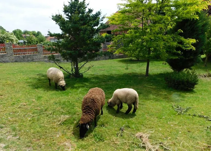 Landleben アパート Kammerforst