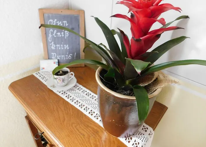 Landleben * Kammerforst